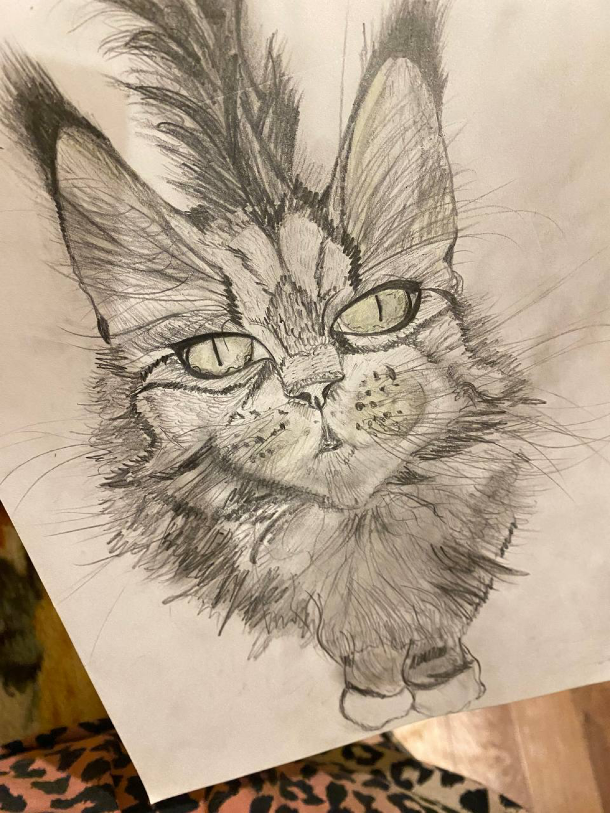 Картина А4. Уголь. «Кошка» Сиба | Сетка — социальная сеть от hh.ru