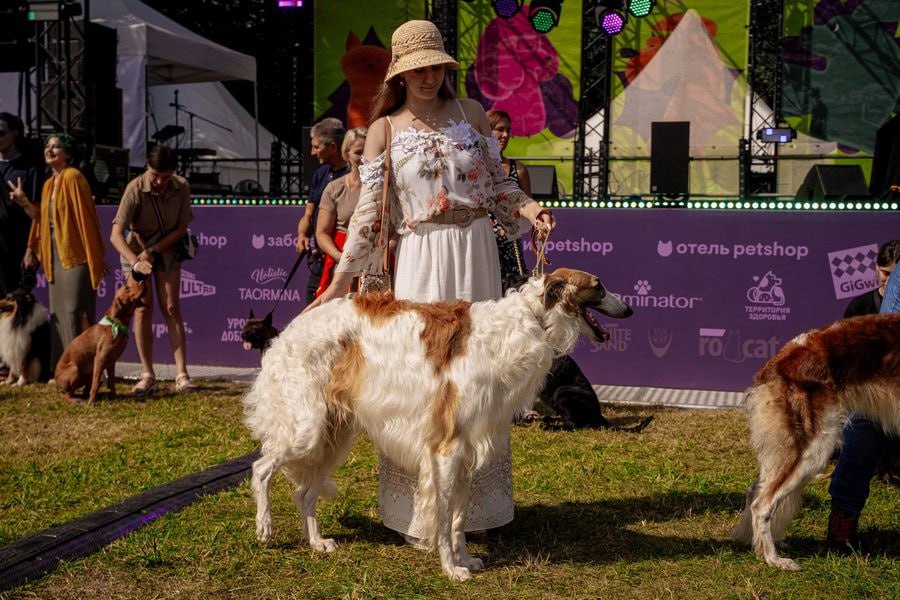 🐶 Фестиваль Petshop Days пройдет в эти выходные в Саду им | Сетка — социальная сеть от hh.ru