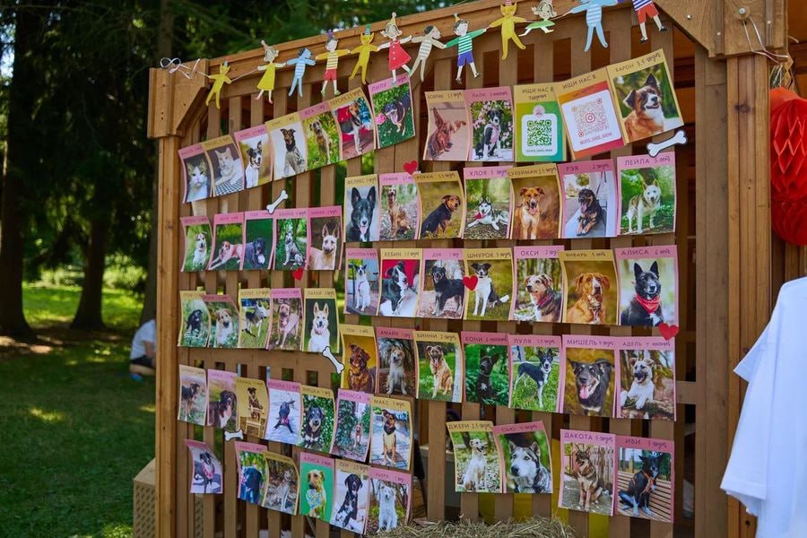 🐶 Фестиваль Petshop Days пройдет в эти выходные в Саду им | Сетка — социальная сеть от hh.ru