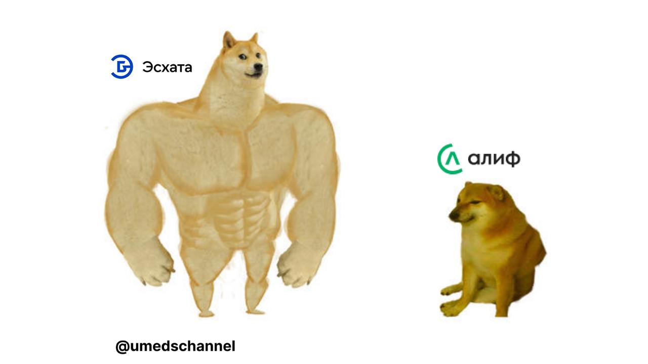 Когда зуммеры не узнали Эсхату.
P.S. Мем "Качок Доге и Чимс" используется для сравнения. Сравнение на базе активов на момент 01.01.24: Эсхата — 5,6 млн сомони, Алиф — 1,3 млн сомони | Сетка — социальная сеть от hh.ru