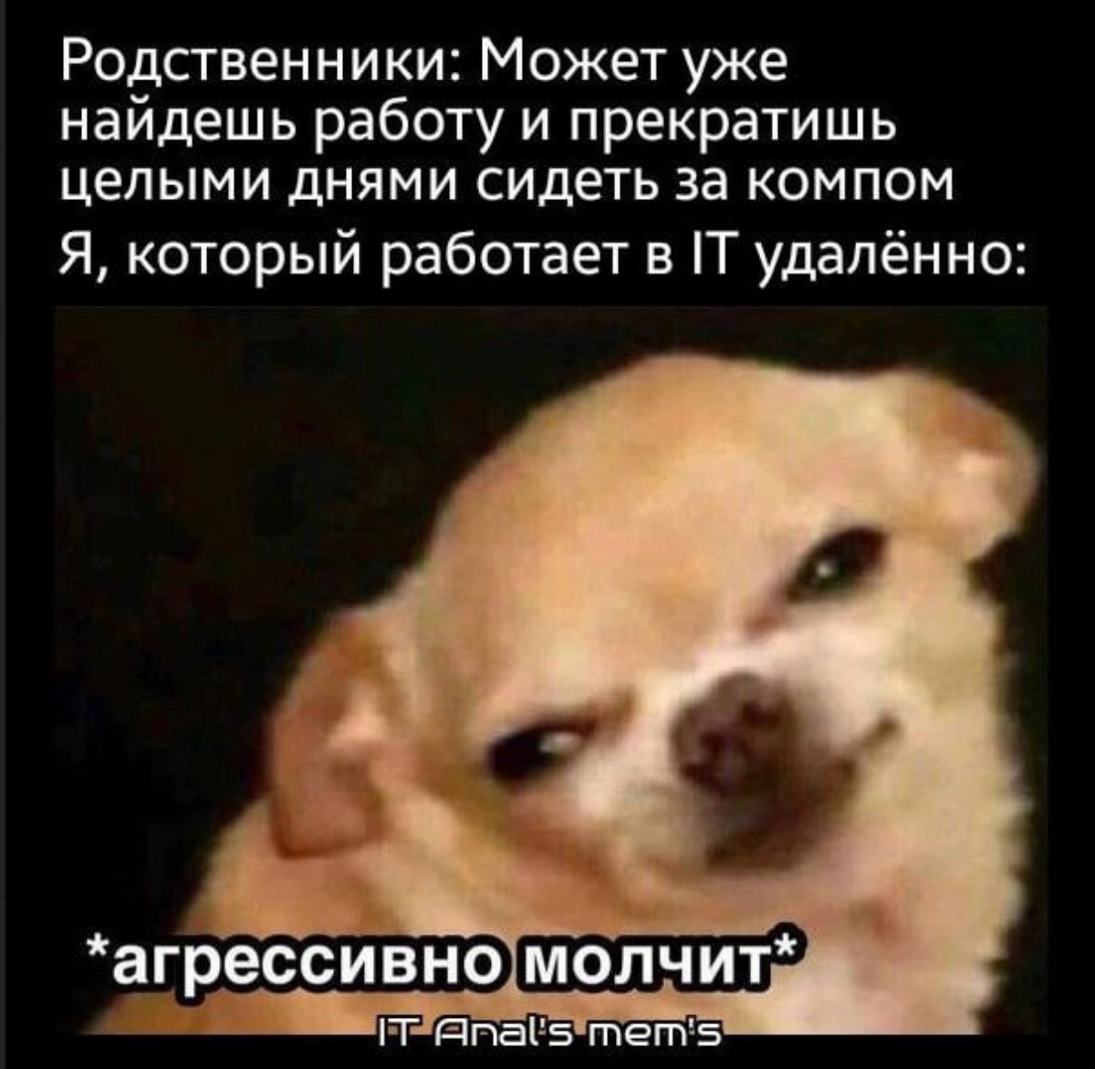Сегодня среда, а это значит что осталось совсем немного до пятницы! Мемов вам в дорожку! 🎁
#gamedev | Сетка — социальная сеть от hh.ru