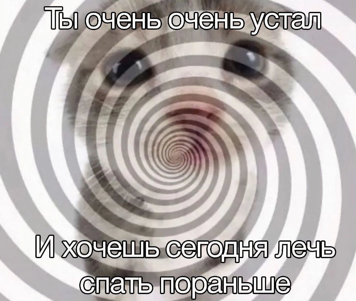 #мемдня
Как дела? Дохера работы? А я набрала больше 50 подписчиков)) так что следующий пост с подарком. | Сетка — социальная сеть от hh.ru
