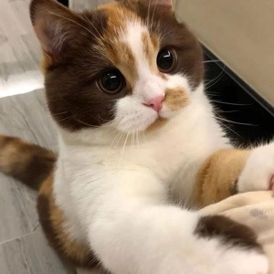 Данил Заяц | Сетка — социальная сеть от hh.ru