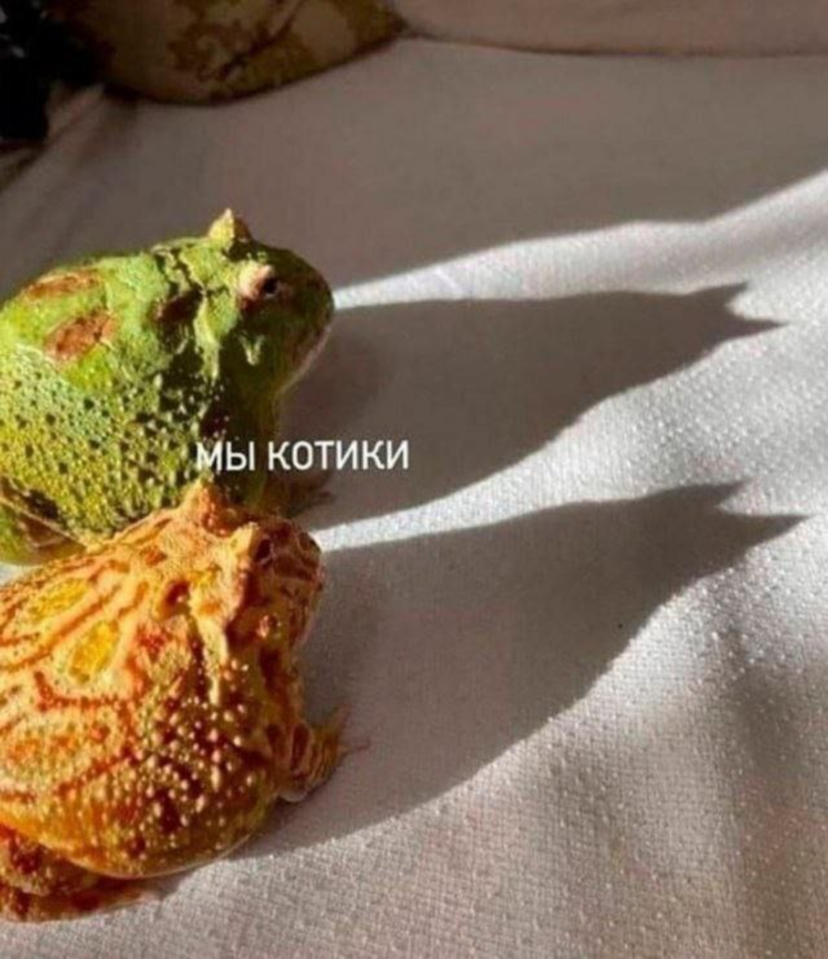 Точно, среда, мои чюваки | Сетка — социальная сеть от hh.ru