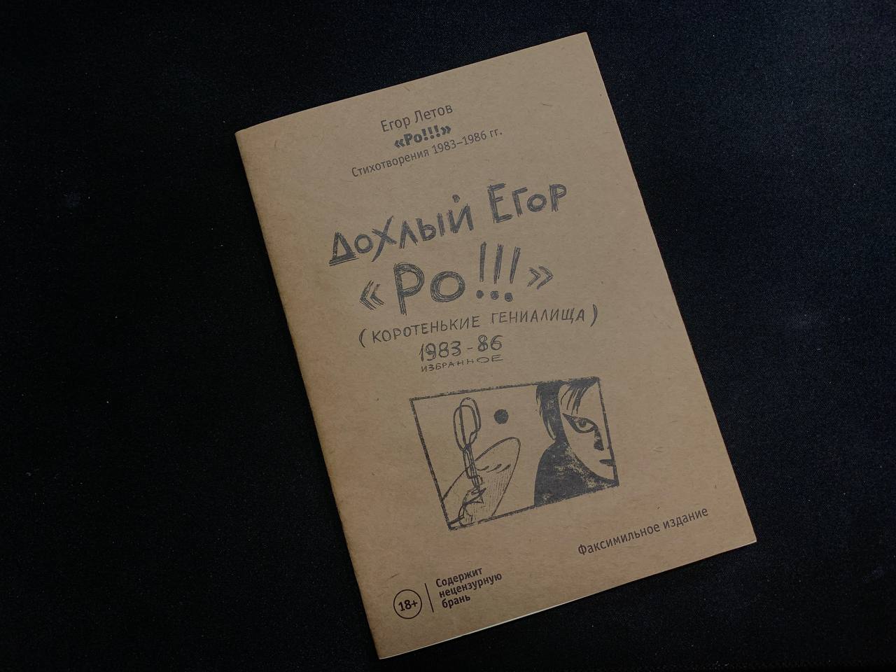Дохлый Егор «Ро!!!»
Крохотный сборник мини находок. Читается за пару минут. В Пиотровском осталась одна, наверное, последняя. Вот например что внутри. Очень трогает | Сетка — социальная сеть от hh.ru