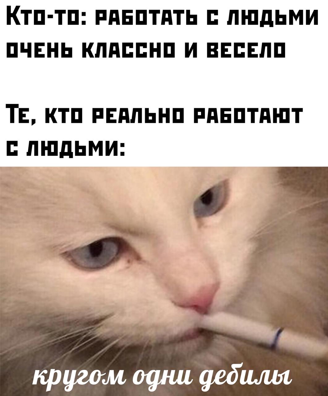 Ну не прям одни, просто — их много | Сетка — социальная сеть от hh.ru