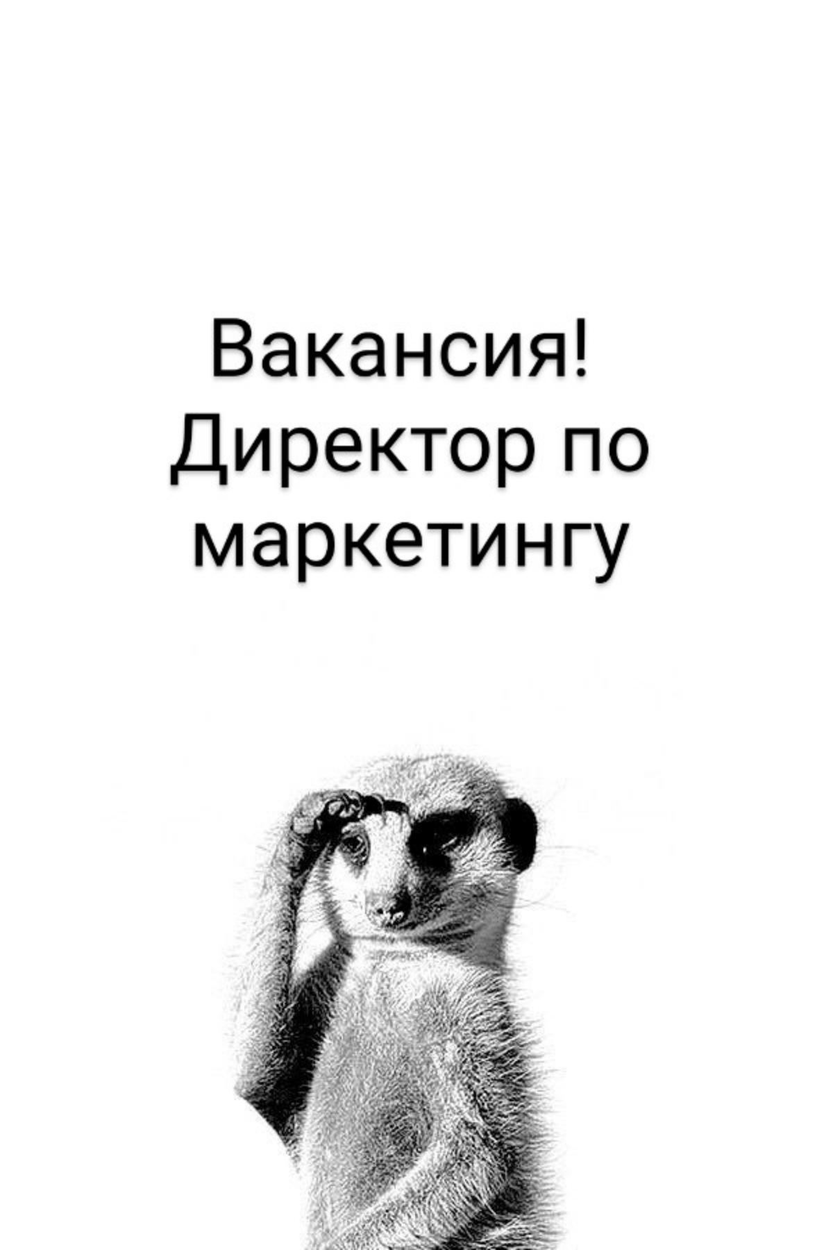 ВАКАНСИЯ: Директора по маркетингу (FMCG)
КОМПАНИЯ: Российская компания -лидер на рынке продуктов здорового питания приглашает в команду Директора по маркетингу (FMCG) | Сетка — социальная сеть от hh.ru