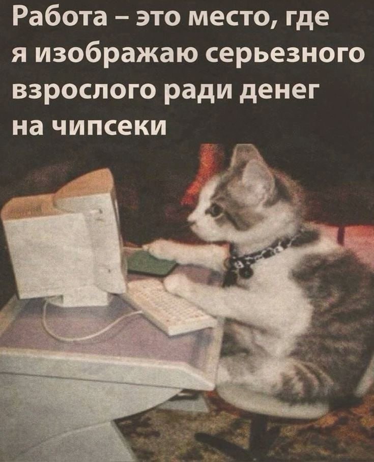➡️ отправь в телеге мем коллеге | Сетка — социальная сеть от hh.ru