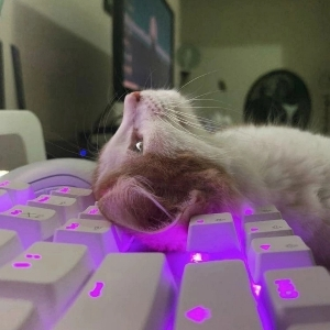 Валентин Дваче