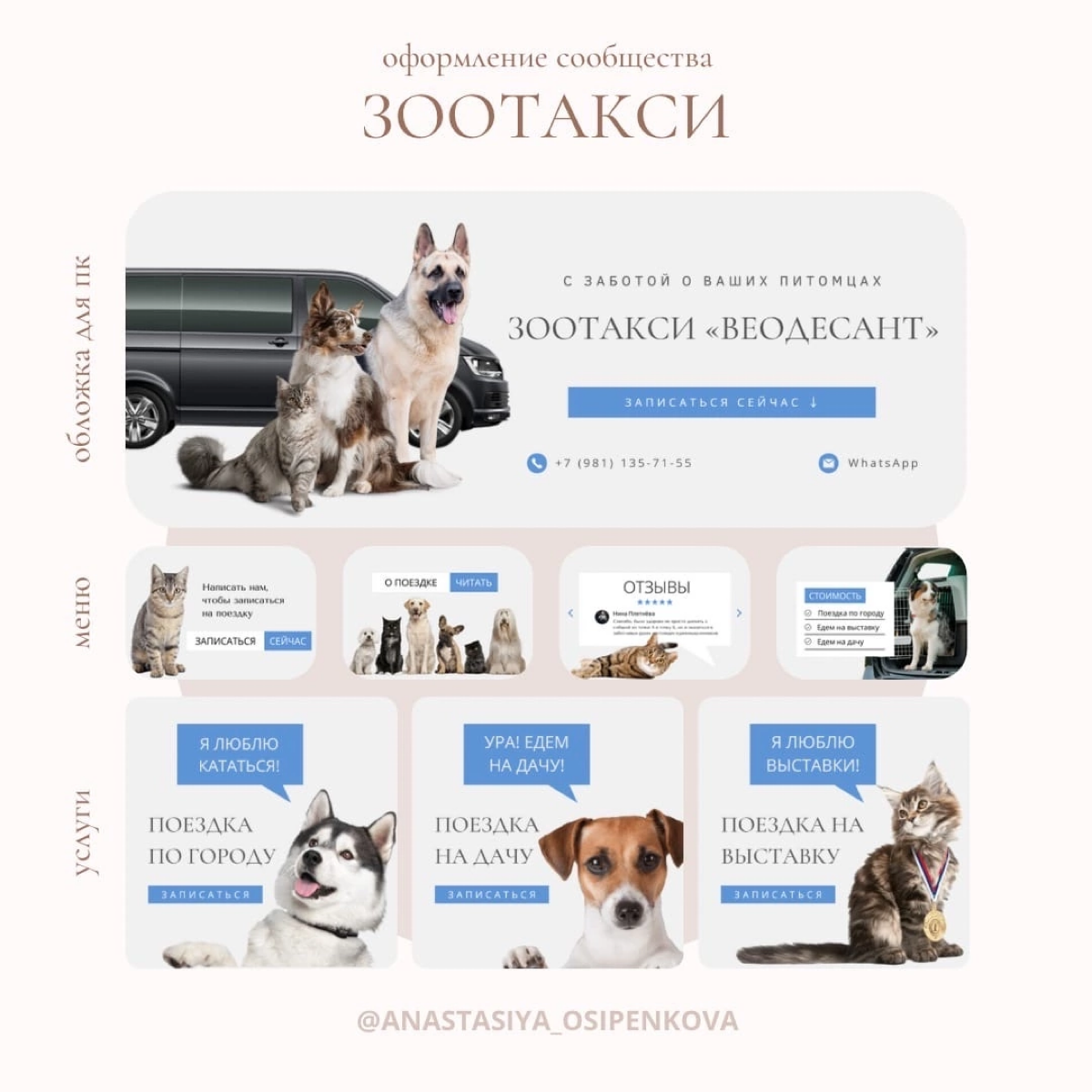 📸 Создание визуала для зоотакси | Сетка — социальная сеть от hh.ru