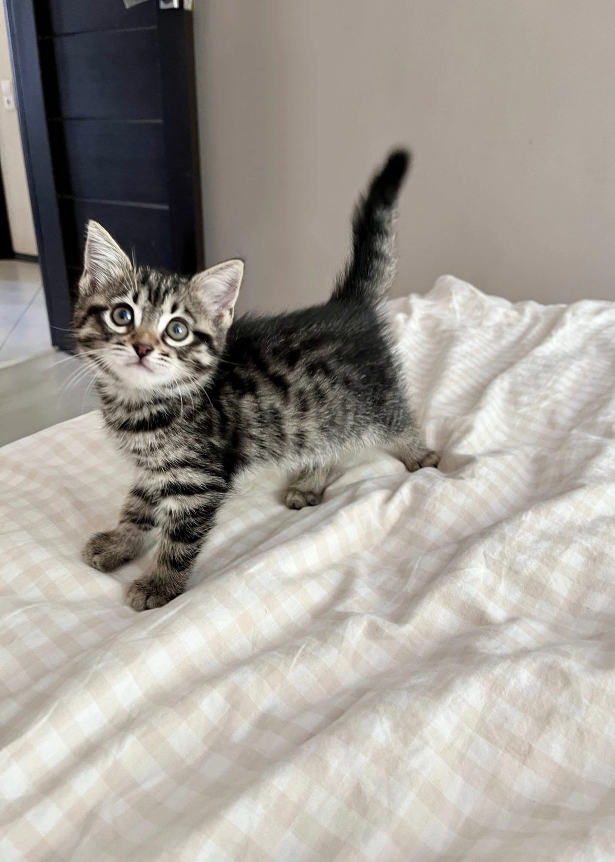 ПОЧЕМУ У МЕНЯ НЕТ КЛИЕНТОВ? 😕
Задавали себе этот вопрос? Тогда прочтите этот пост, думаю, что вы точно найдете здесь ответ на свой вопрос👇
Стоит мне зайти на страницу товара / услуги и бегло пробежать... | Сетка — социальная сеть от hh.ru