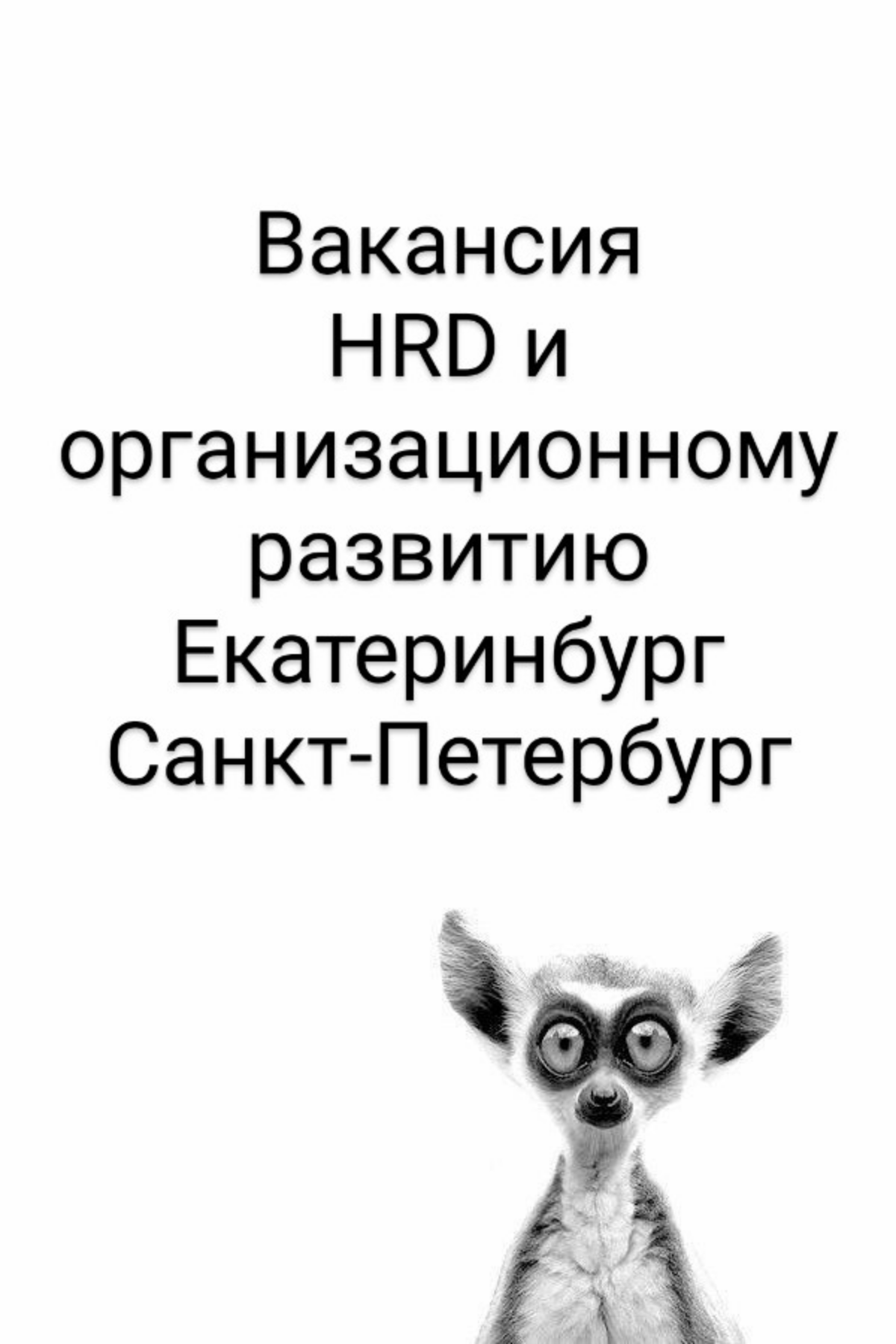 Коллеги есть 2 вакансии
✅Вакансия: Директор по персоналу и организационному развитию
Екатеринбург и Санкт-Петербург
1️⃣Задачи:

управление департаментом персонала (сотрудники в УК + сотрудники филиало... | Сетка — социальная сеть от hh.ru