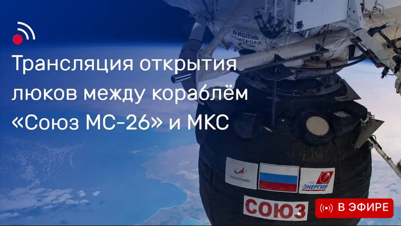 🎥 Смотри
🦫 Смотри | Сетка — социальная сеть от hh.ru