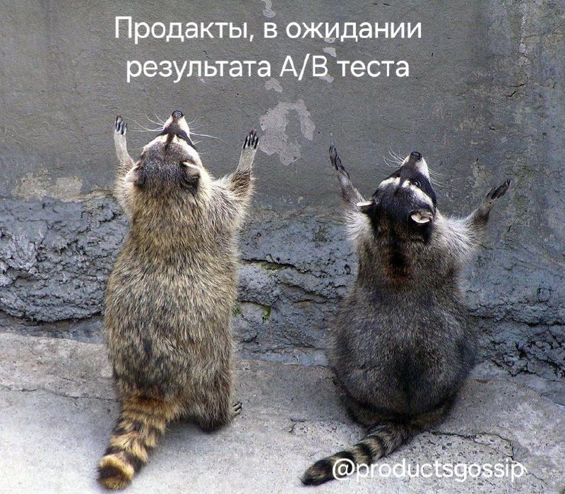 В Питере четверг как #пятница
Yep, я снова в командировке в офисе Вконтакте
Таня, [ex-B2B 👩‍💻] 
@productsgossip | Сетка — социальная сеть от hh.ru