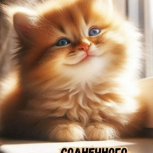 Таисия Лыкова