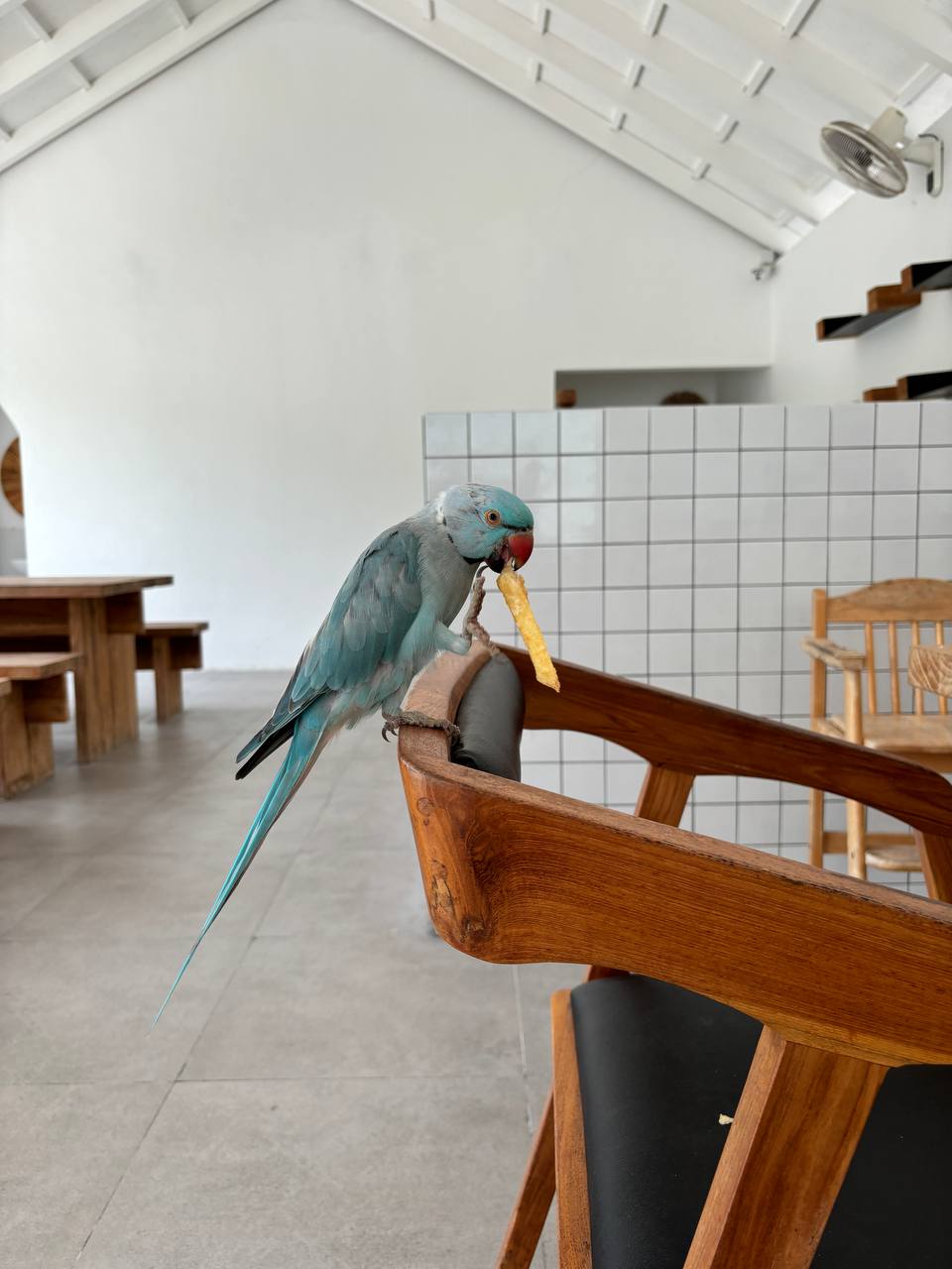 Какая цель ваших занятий? 
Мои новые и старые увлечения заставили заняться поиском новых форматов и специалистов способных дать то, что мне нужно | Сетка — социальная сеть от hh.ru