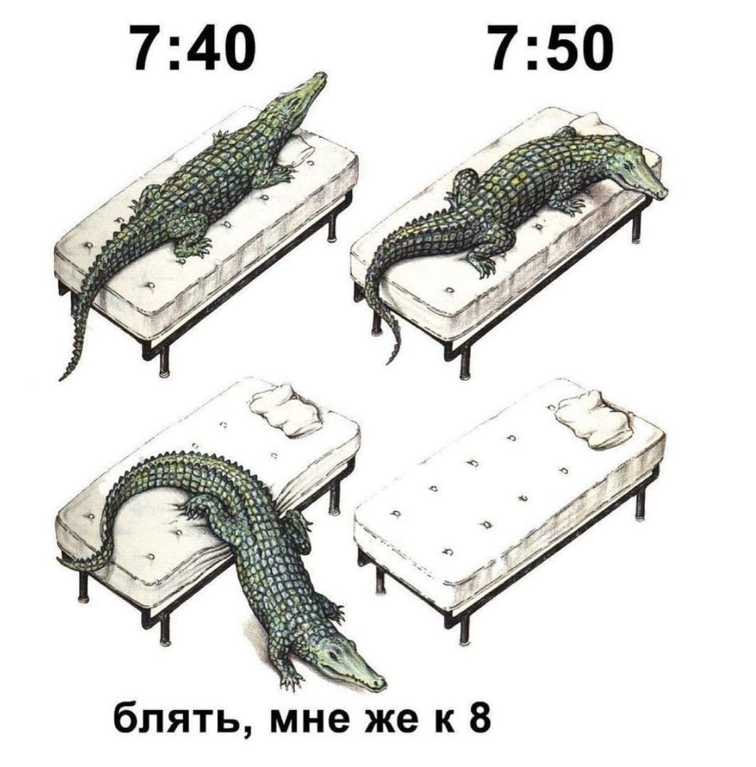 ➡️ отправь в телеге мем коллеге | Сетка — социальная сеть от hh.ru