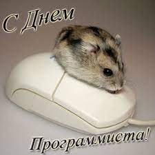 С праздником вас, коллеги! Не болейте и плодите багов😱 | Сетка — социальная сеть от hh.ru