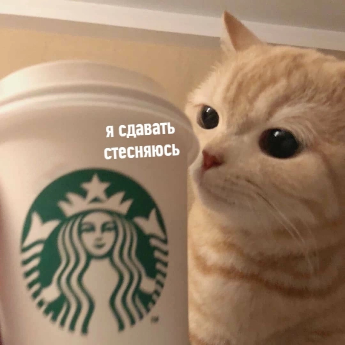 Сколько чашек кофею вы выпиваете в день? | Сетка — социальная сеть от hh.ru