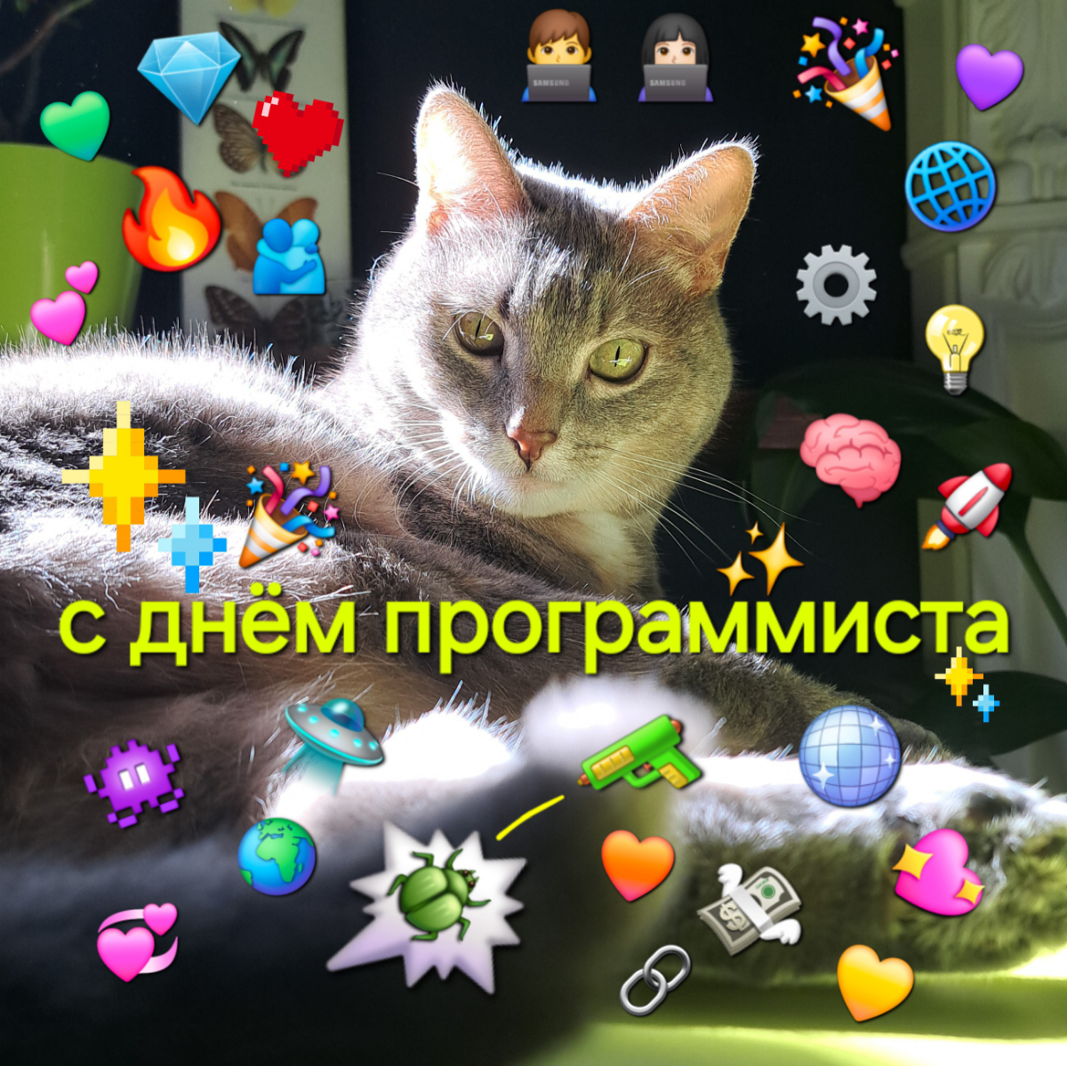 Вам подарок 💖 🎉🌐🪲🗯🔫 | Сетка — социальная сеть от hh.ru