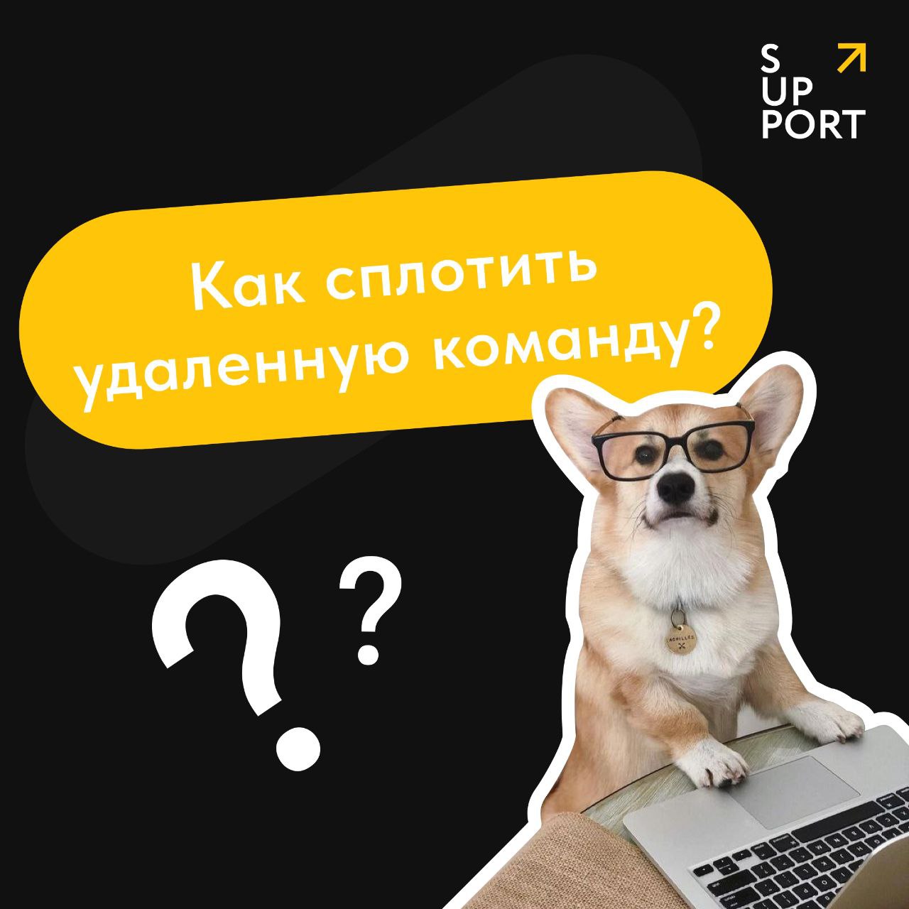 Команда SUPPORT почти любой созвон начинает со смол тока: это помогает синхронизироваться и создать личный контакт, прежде чем начать обсуждать рабочие задачи ✨
Смол ток – не единственный способ орган... | Сетка — социальная сеть от hh.ru
