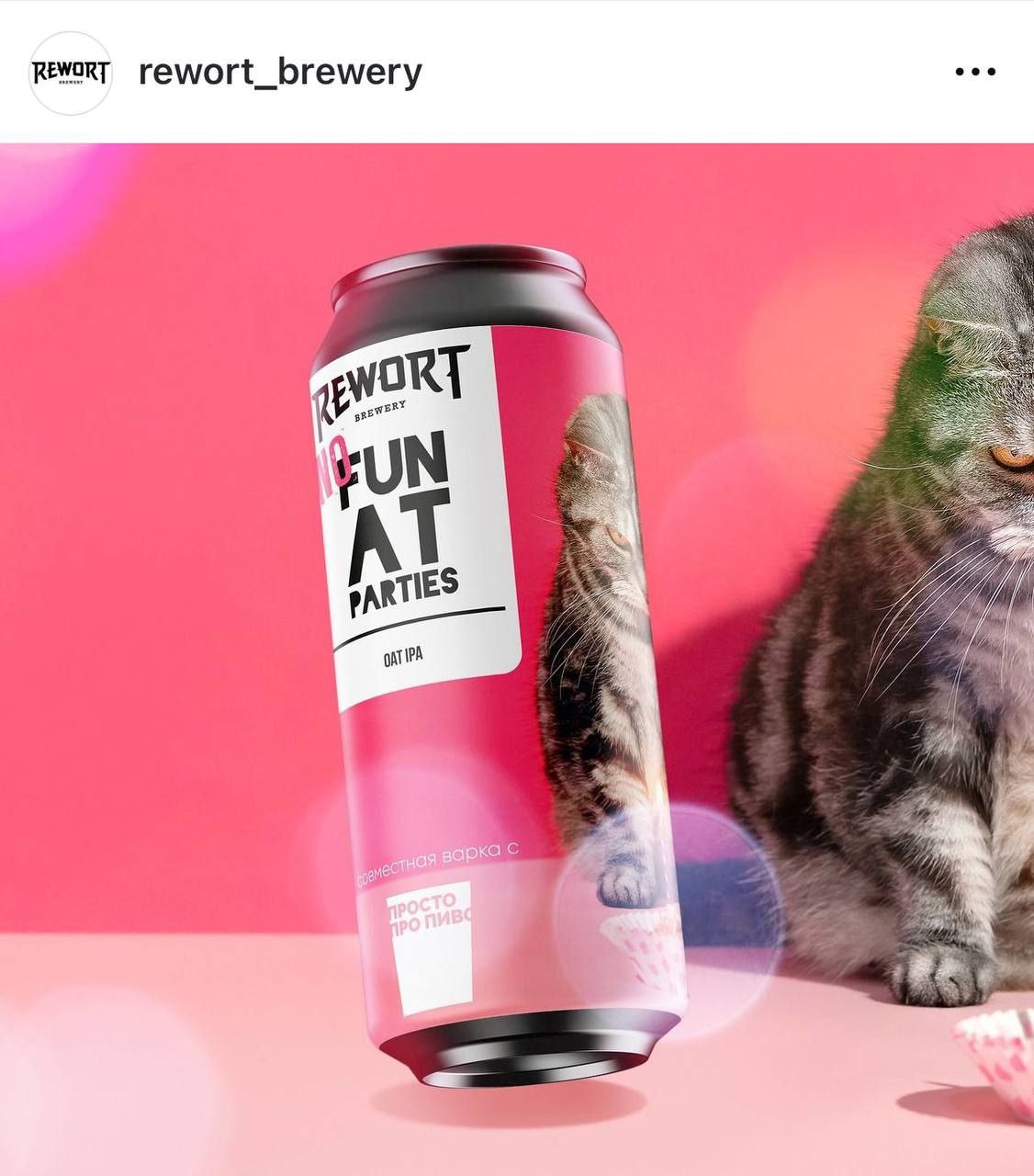 Пивовары анонсировали овсяное пиво No fun at parties в честь душнил. Они рассказали, что ни в одном языке нет слова, которое бы вмещало в себя всю полноту слова «душнила» | Сетка — социальная сеть от hh.ru