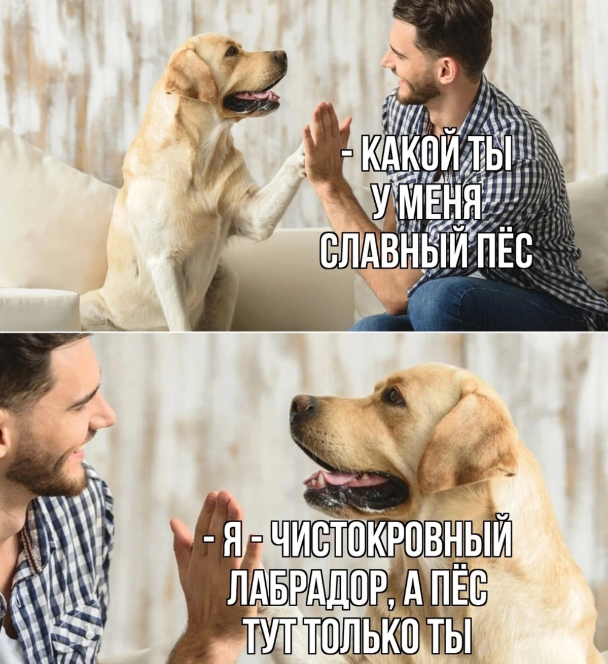 Что такие серьёзные ❓️🙃 | Сетка — социальная сеть от hh.ru