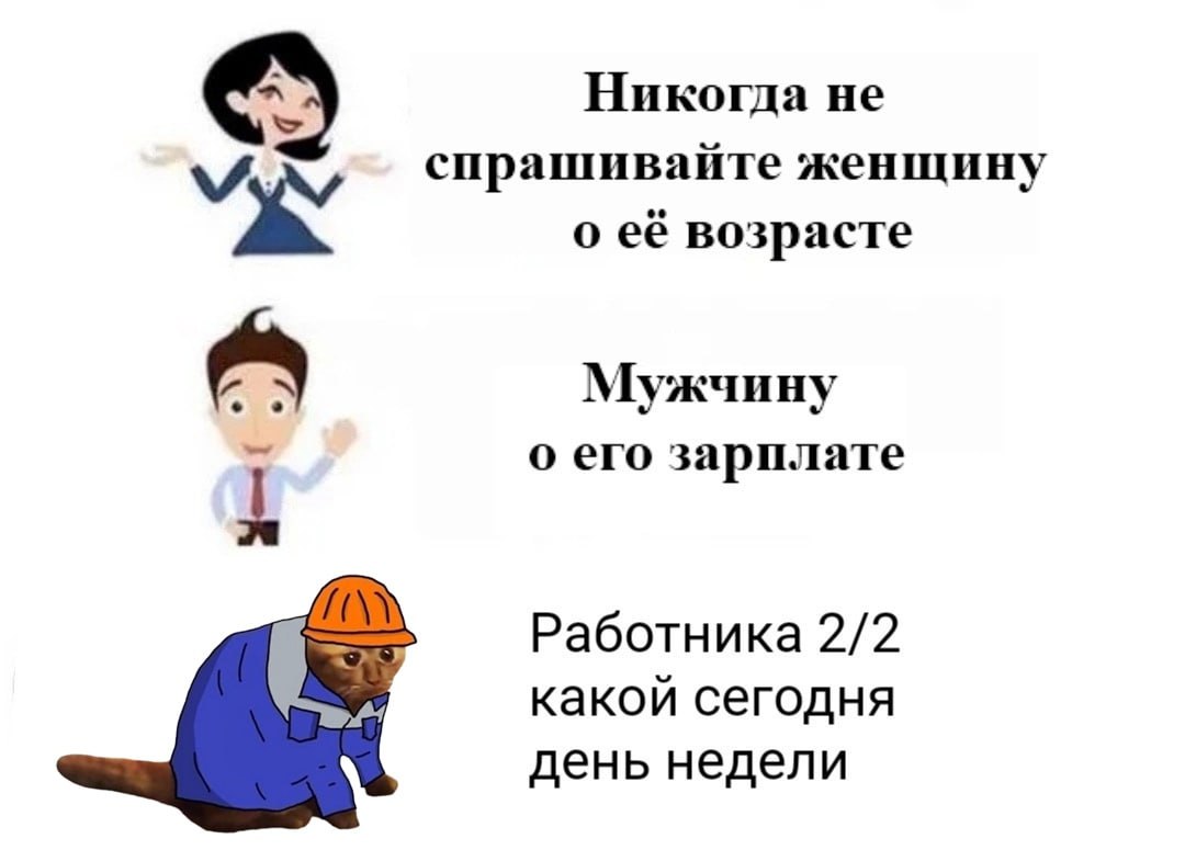 ➡️ отправь в телеге мем коллеге | Сетка — социальная сеть от hh.ru