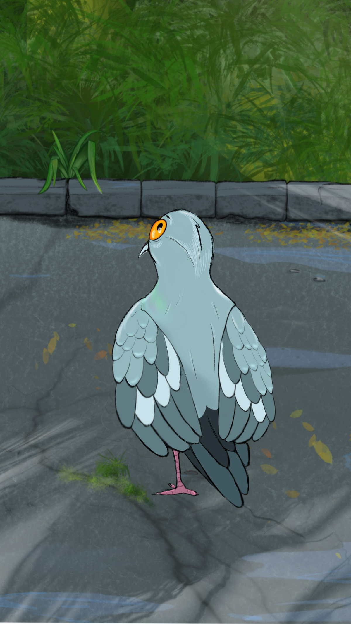 Голубь Вася 🐦
Рисую покадрово в Procreate, анимирую в Procreate Dreams.  Пыталась анимировать в Moho, но как-то не получается. Надо собраться с силами и попробовать этот Blender. | Сетка — социальная сеть от hh.ru