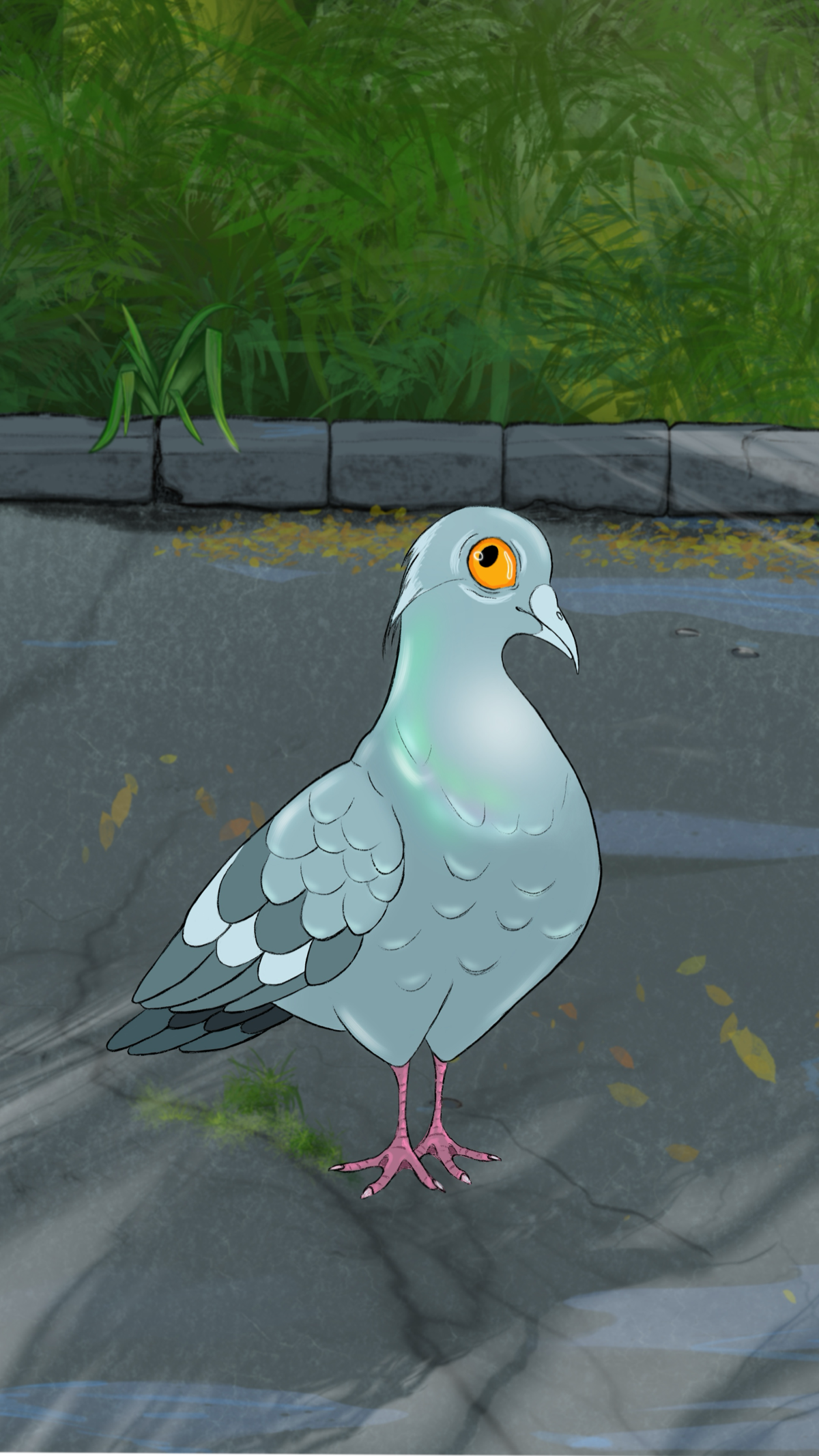 Голубь Вася 🐦
Рисую покадрово в Procreate, анимирую в Procreate Dreams.  Пыталась анимировать в Moho, но как-то не получается. Надо собраться с силами и попробовать этот Blender. | Сетка — социальная сеть от hh.ru