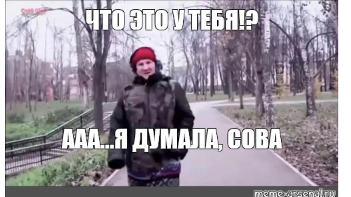 Птичьи хронотипы. Наверняка вы не те, за кого себя  выдаете | Сетка — социальная сеть от hh.ru