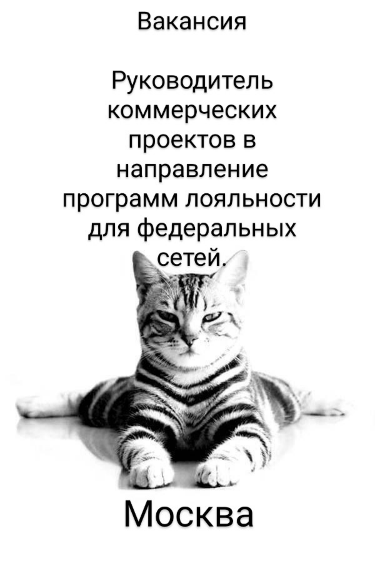 Руководитель коммерческих проектов в направление программ лояльности для федеральных сетей.
Москва, мм Савеловская/Дмитровская, 100% офисная работа.
Все официальное и белое | Сетка — социальная сеть от hh.ru