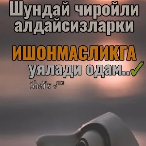 Камил Ниязов