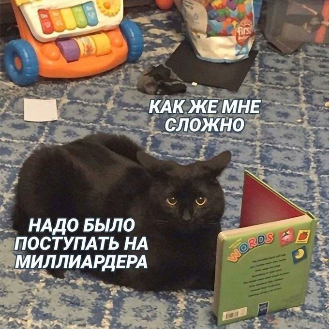 ➡️ отправь в телеге мем коллеге | Сетка — социальная сеть от hh.ru