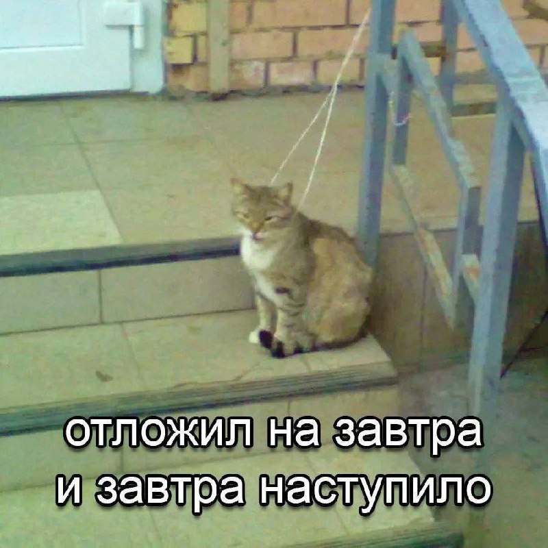 ➡️ отправь в телеге мем коллеге | Сетка — социальная сеть от hh.ru