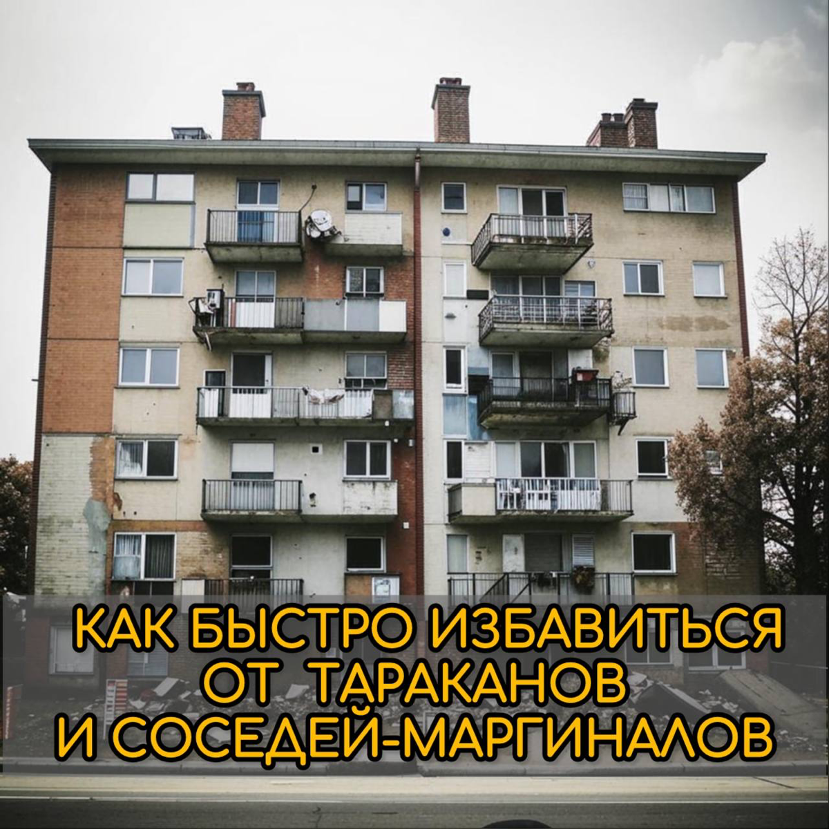 ⚠️ Как быстро избавиться от тараканов и соседей-маргиналов?
Неприятный запах и свисающие провода в подъезде не самое страшное если ваша квартира в доме, которому более 20 лет | Сетка — социальная сеть от hh.ru
