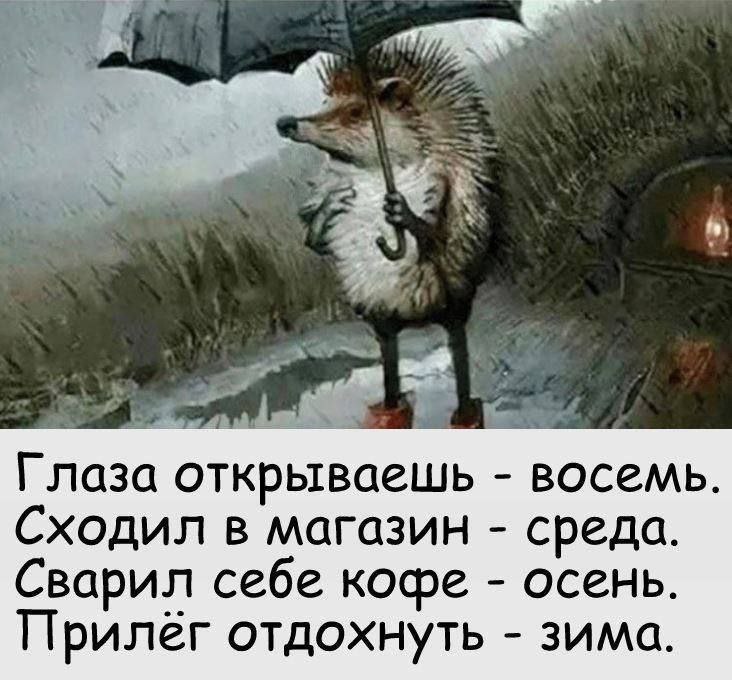 #отчёт за 12.09.2024
Похоже поездка моя откладывается. А это значит, что продолжаем усиленно работать и можно будет запуститься раньше. Но есть одно но.. | Сетка — социальная сеть от hh.ru