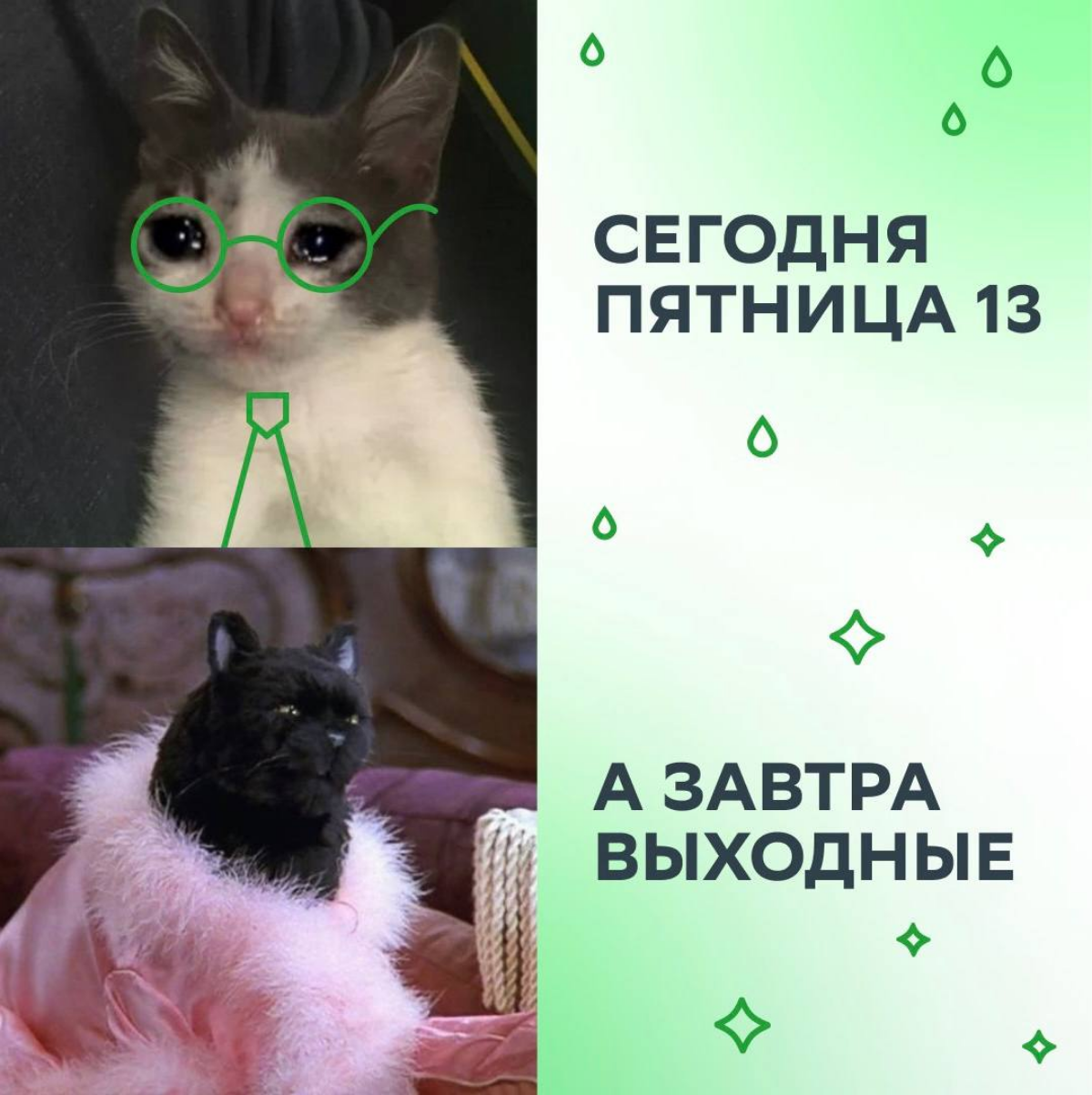 Если чёрная кошка перебегает дорогу по пути домой в пятницу 13, это значит только одно…
…рабочий день закончился и пора отправляться на выходные.
Ставь лайк, если поддерживаешь такие приметы! | Сетка — социальная сеть от hh.ru