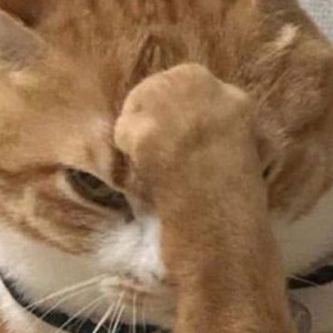 Данил Нагорный | Сетка — социальная сеть от hh.ru