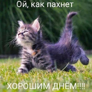 Ната Тинькова