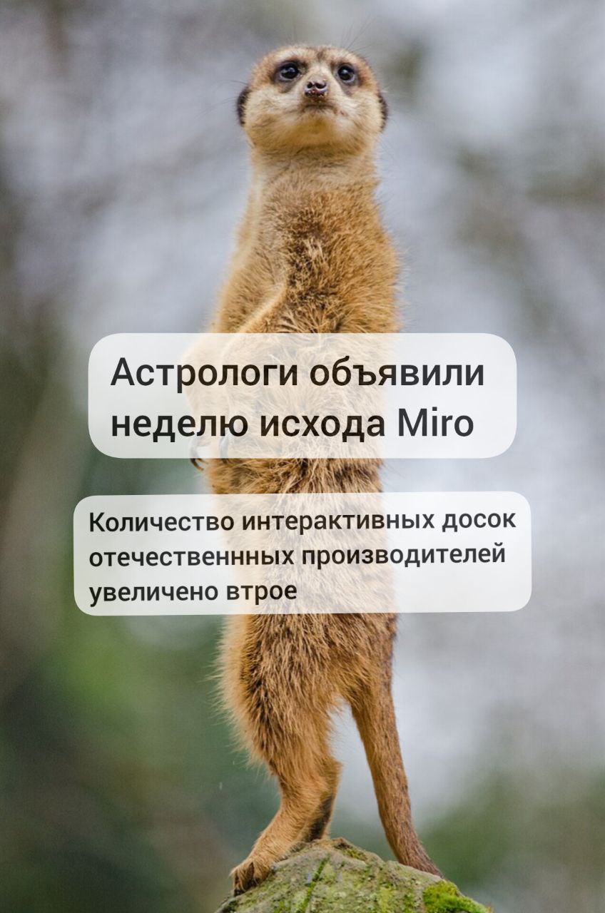Или вдесятеро?
С начала сентября вижу рекламу новых интерактивных досок, и главное, что вендоры еще даже не начали повторяться | Сетка — социальная сеть от hh.ru