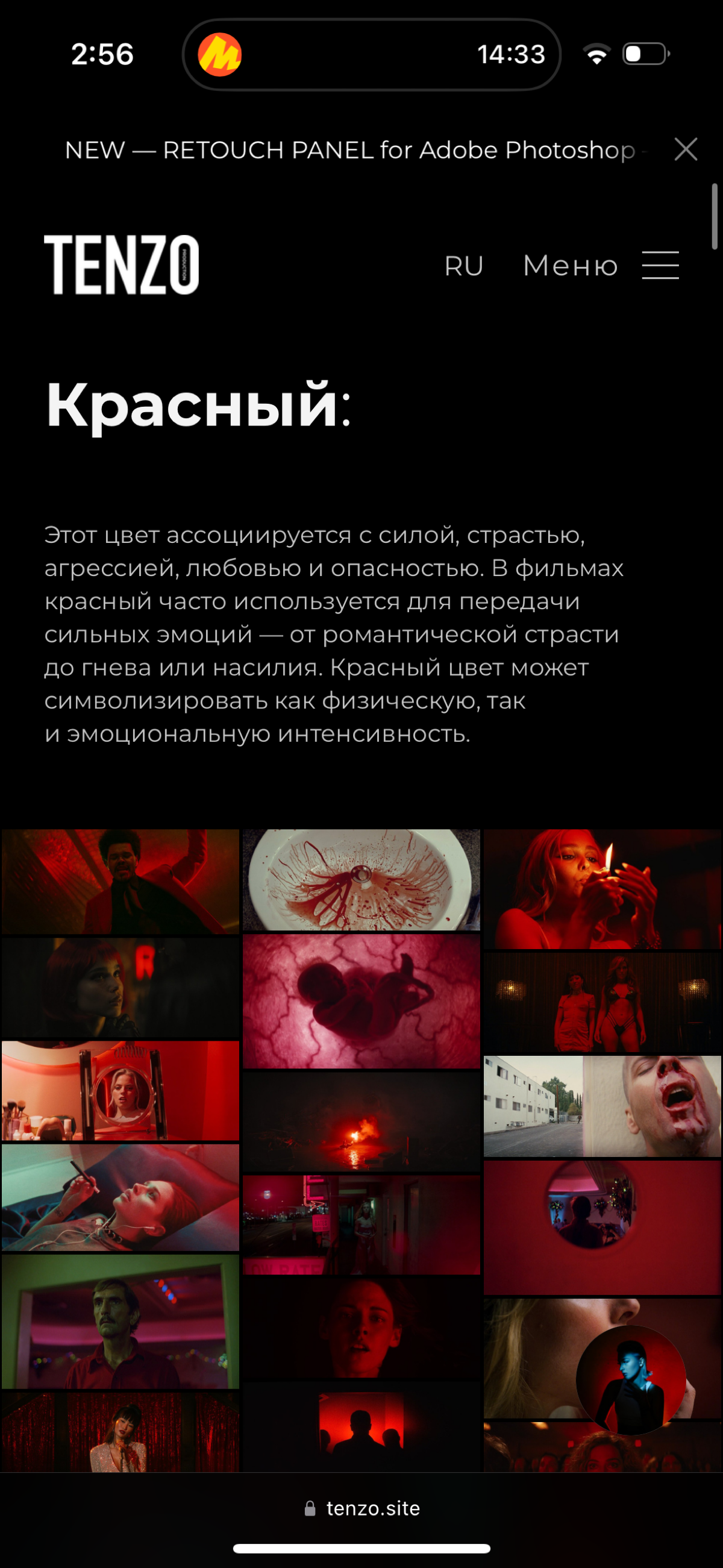 Йо, всем привет! Меня зовут Таня, чаще Тензо, я являюсь креативным продюсером, за плечами годы в фото/видео продакшне, графическом дизайне, смм и в каждый день тренирую свою насмотренность! В данный м... | Сетка — социальная сеть от hh.ru