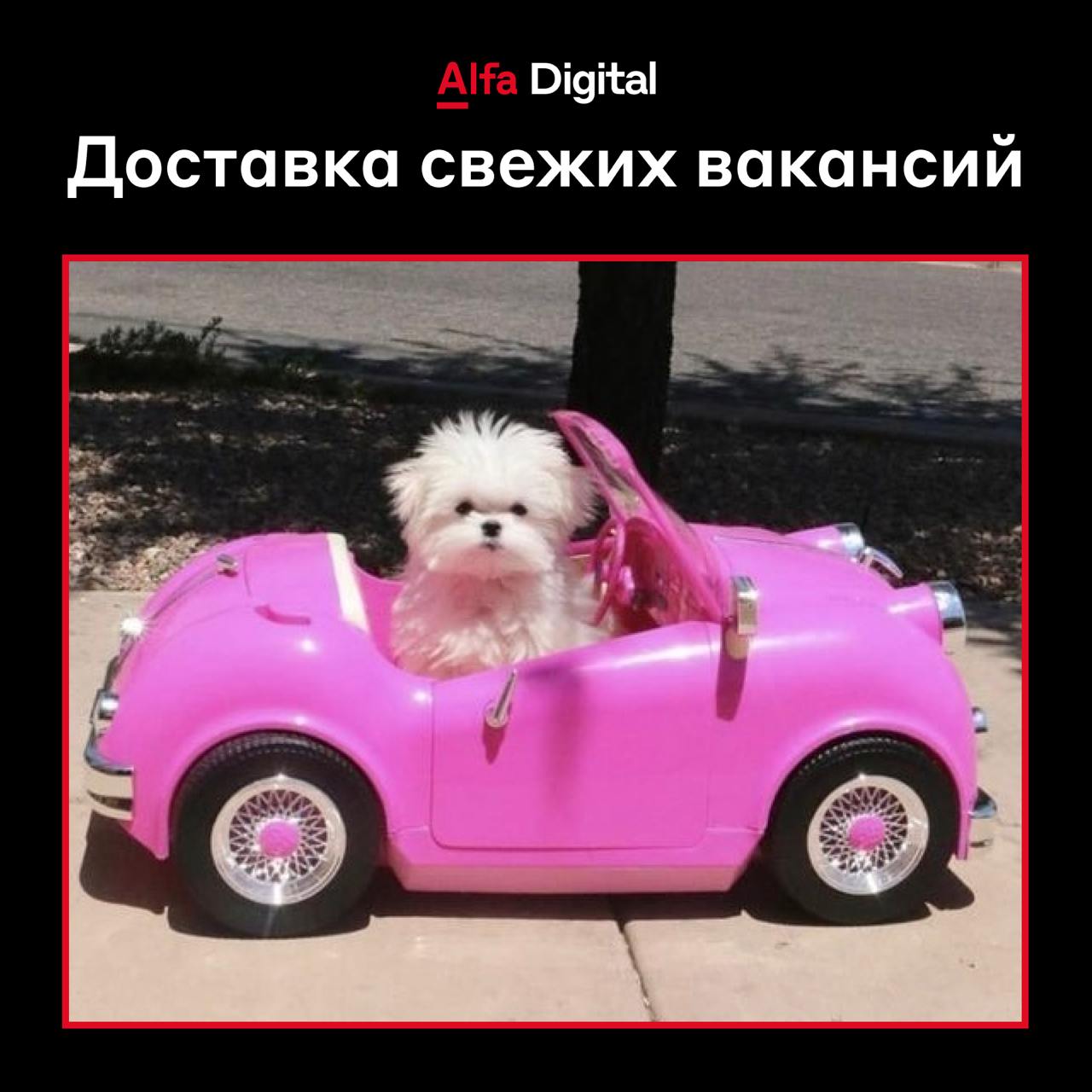 Доставка свежих вакансий 🚙
👉 Специалист по тестированию — откликнуться
👉 Системный аналитик — откликнуться
👉 Java-разработчик — откликнуться
👉 Аналитик RPA — откликнуться
👉 Java Specialist — откликнут... | Сетка — социальная сеть от hh.ru