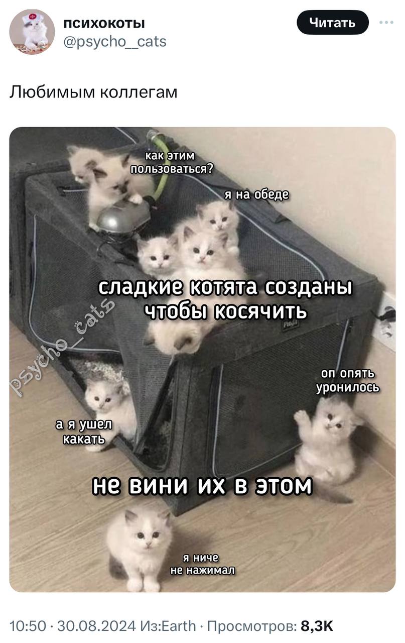 Коротко про работу нашего отдела в пятницу:
➡️ отправь в телеге мем коллеге | Сетка — социальная сеть от hh.ru