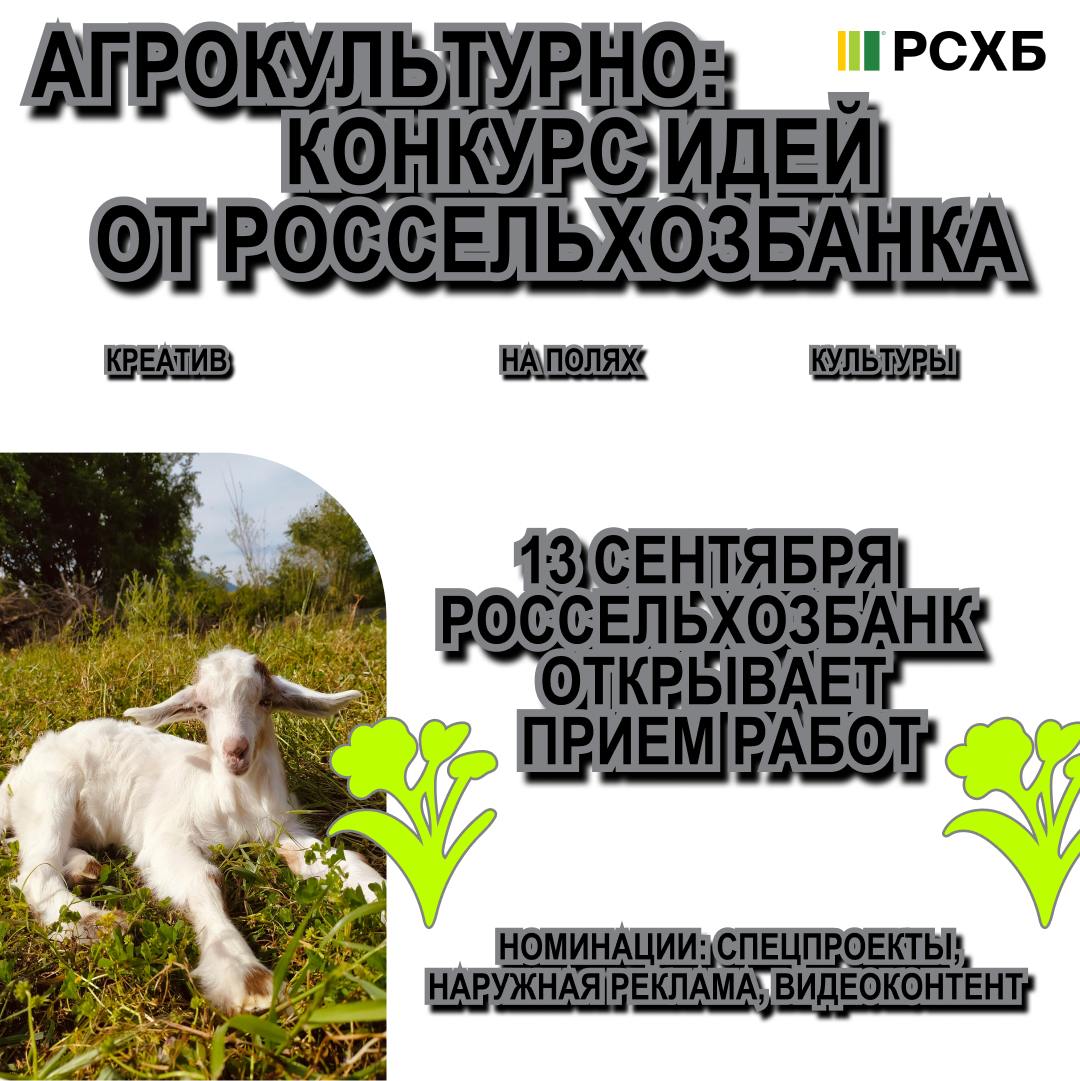 Спортсмен, коза нужна? Козу я дам. Но нужно победить в конкурсе креативных идей | Сетка — социальная сеть от hh.ru
