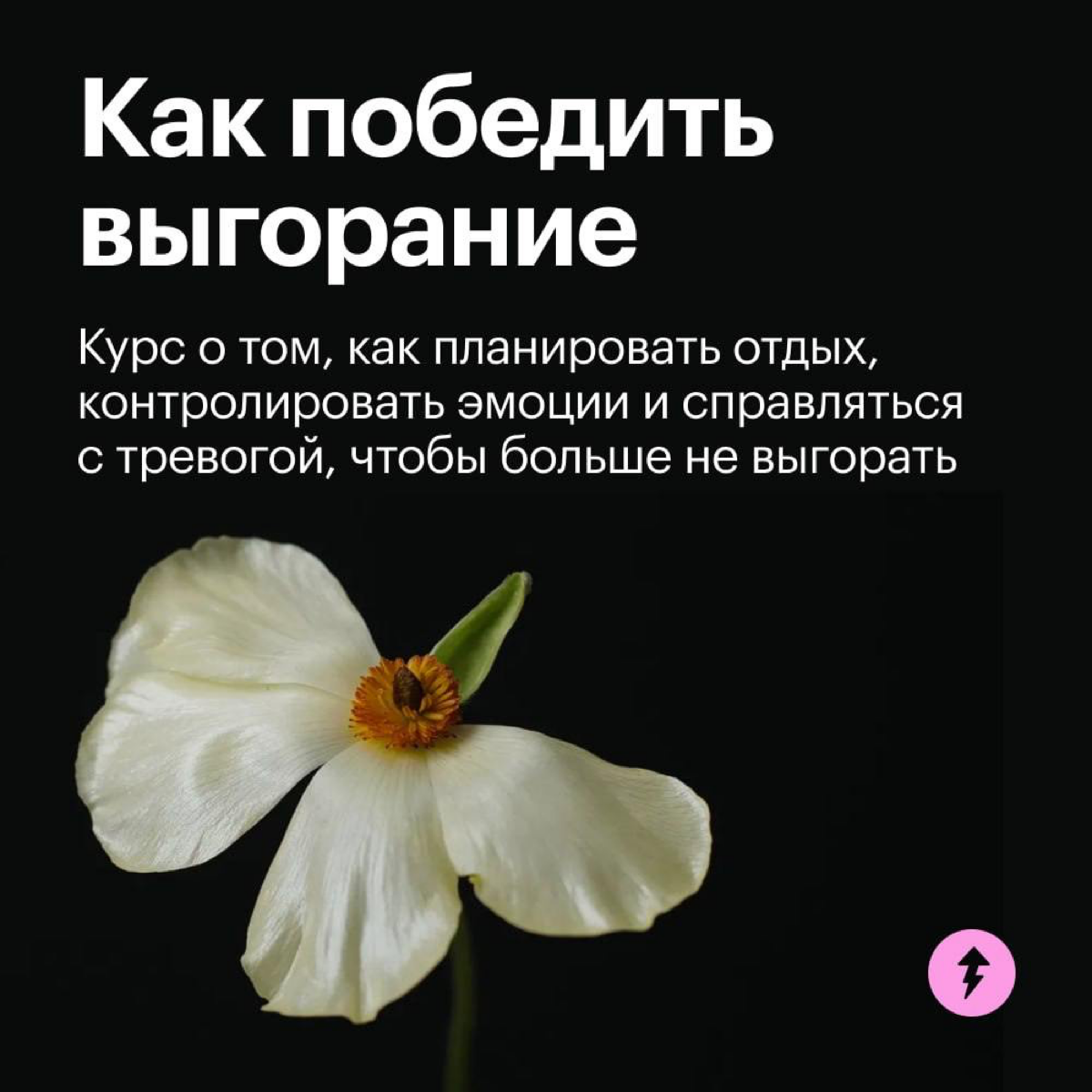 Рецепт от выгорания | Сетка — социальная сеть от hh.ru