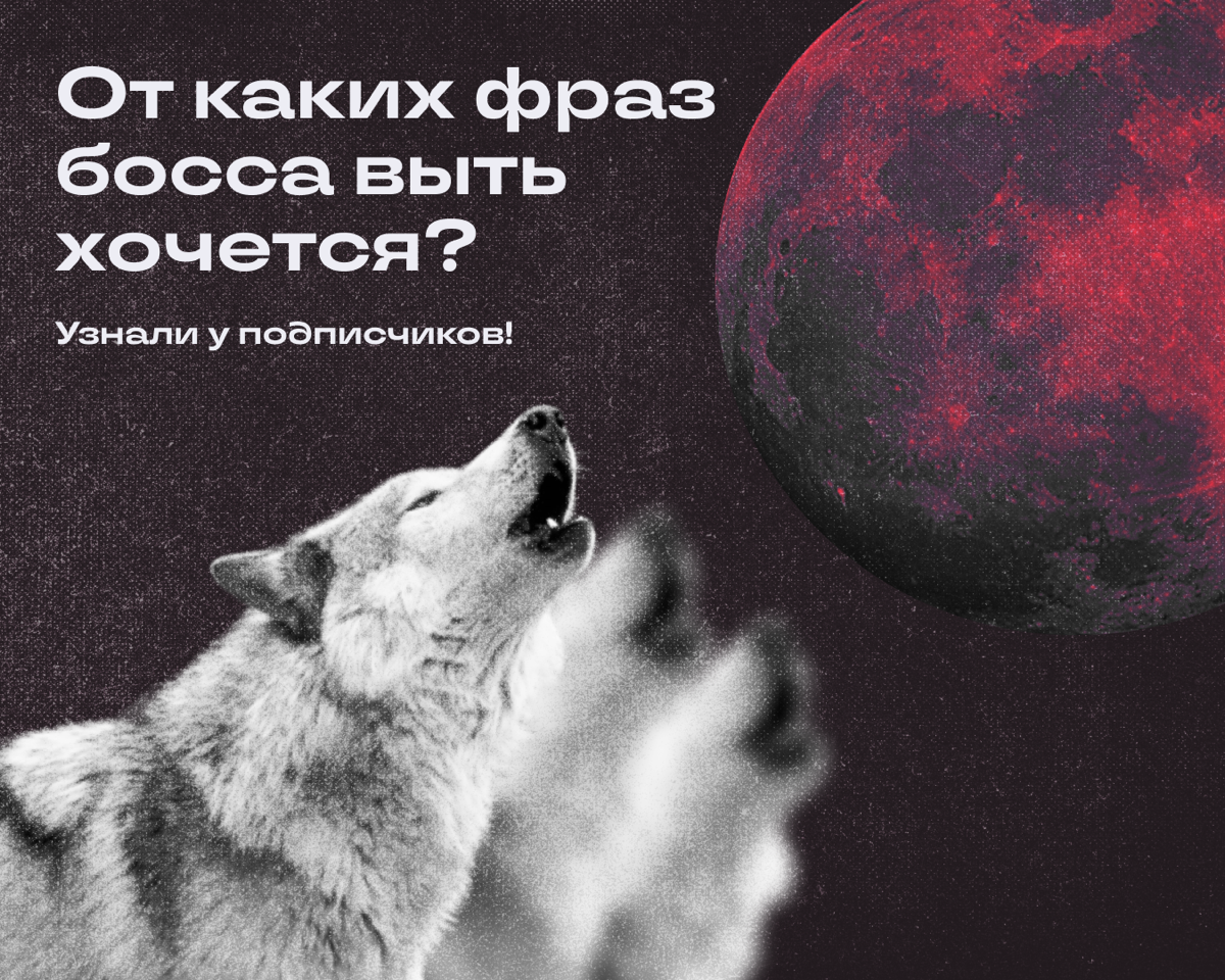 Хочется орать, когда слышишь от начальника ЭТО
Недавно мы спрашивали, какая фраза шефа заставит вас протяжно и устало так вздохнуть | Сетка — социальная сеть от hh.ru