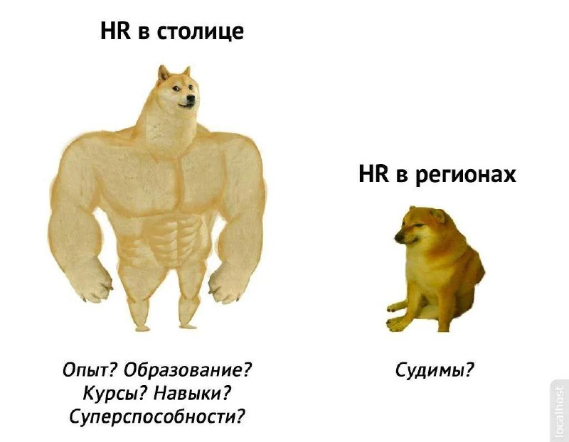 ➡️ отправь в телеге мем коллеге | Сетка — социальная сеть от hh.ru