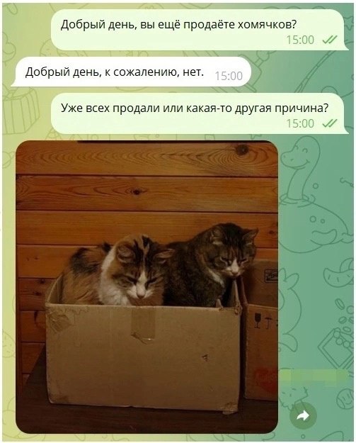 Хомячки закончились 🔻
#Маркетинг | Сетка — социальная сеть от hh.ru