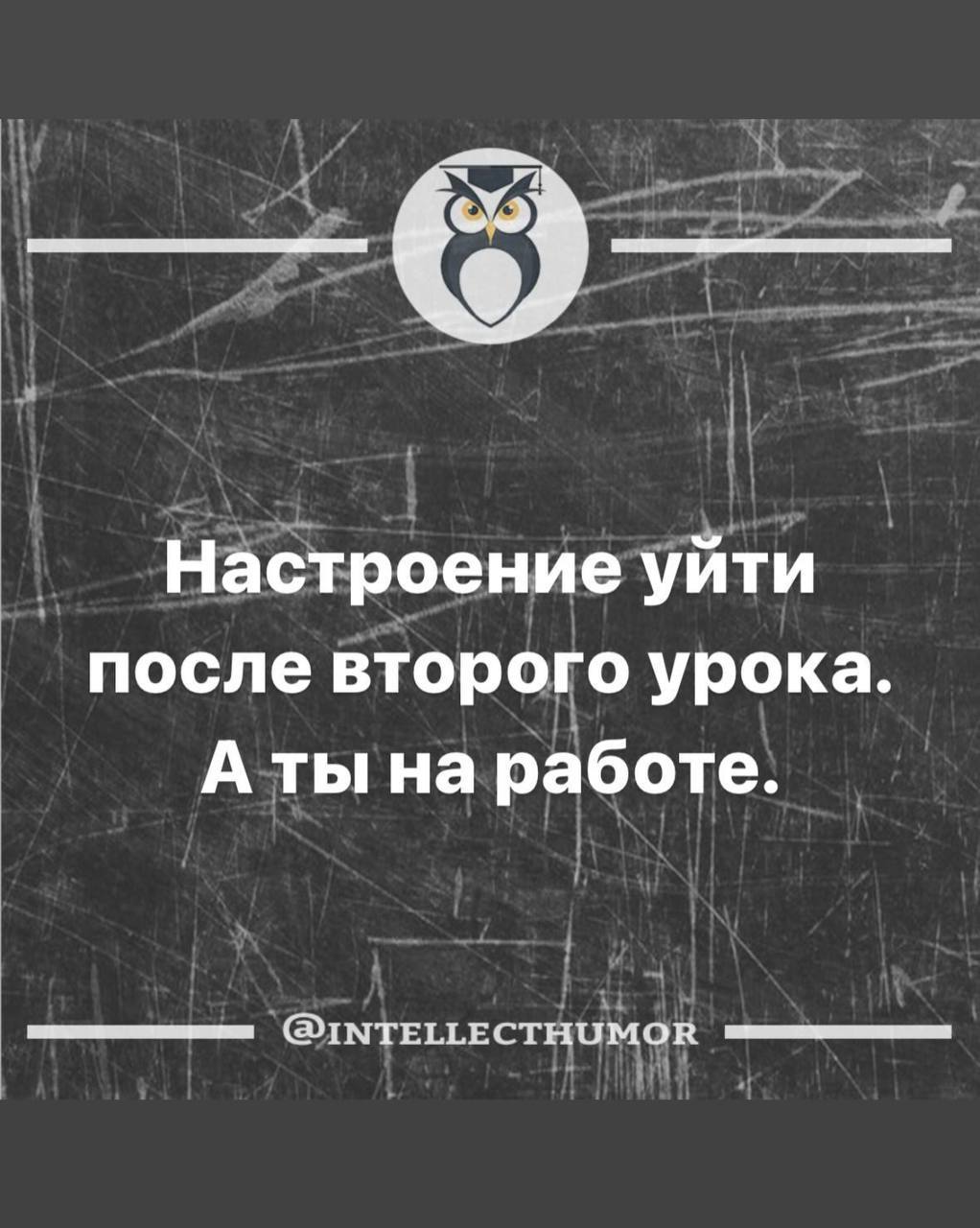 Собрали все посты недели в один:
➡️ мой личный лайфхак по организации времени
➡️ значимость межкультурной коммуникации
➡️ нюансы поиска работы
➡️ моббинг: что это, почему возникает и в чем выражается
... | Сетка — социальная сеть от hh.ru